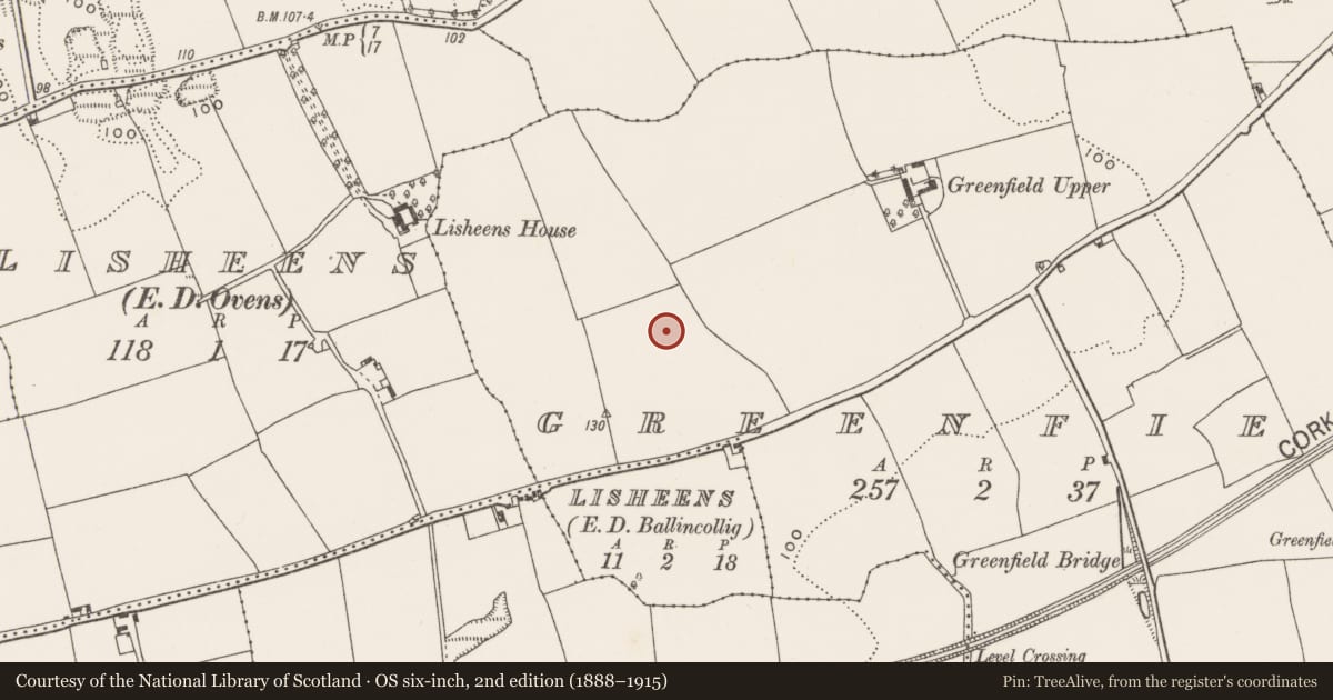 Ordnance Survey six-inch map, 2nd edition (1888–1915) covering the location of Hearth, Greenfield, County Cork, with a pin at the register's coordinates