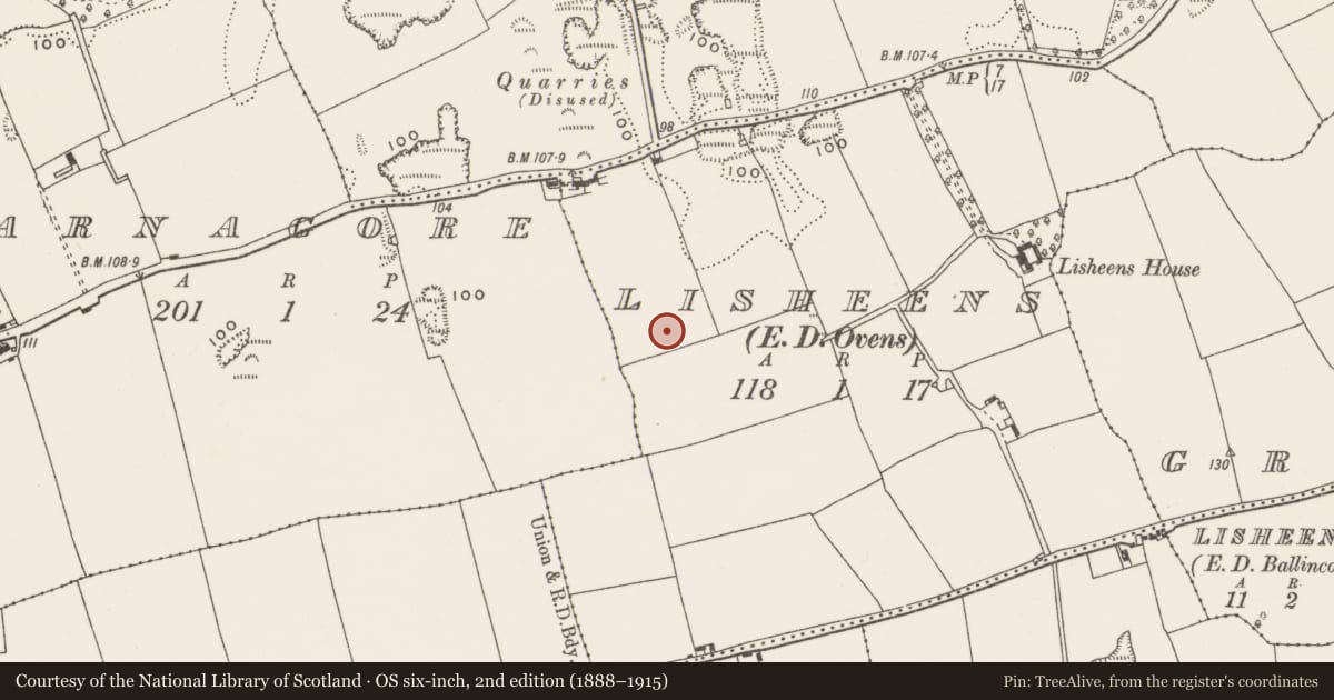Ordnance Survey six-inch map, 2nd edition (1888–1915) covering the location of Hearth, Lisheens, County Cork, with a pin at the register's coordinates