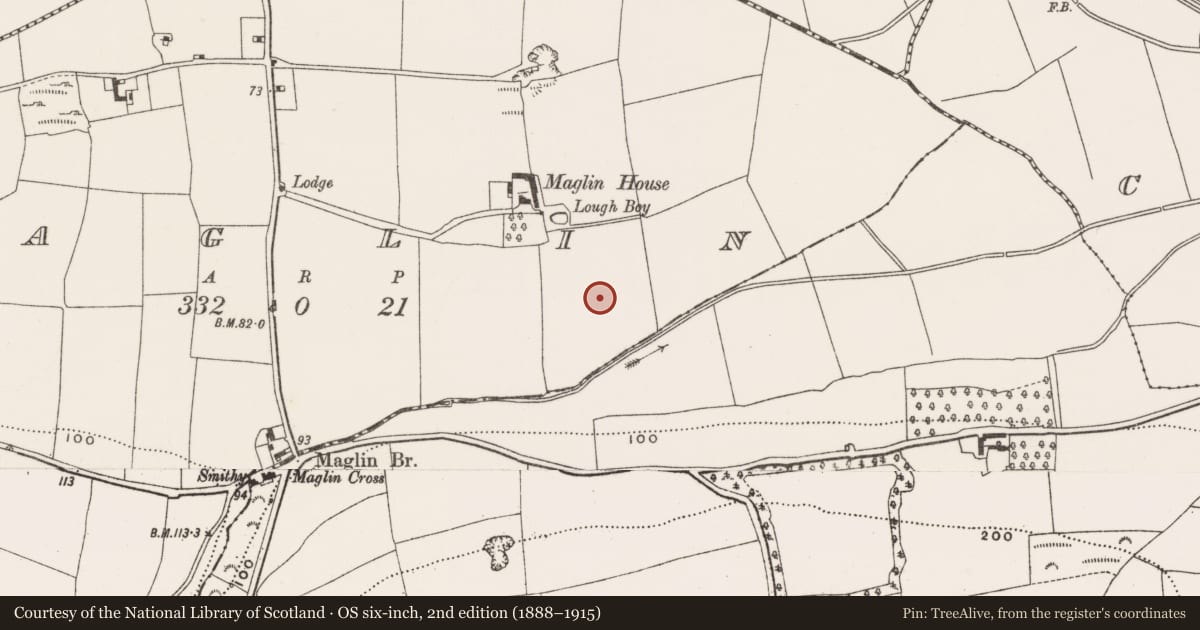 Ordnance Survey six-inch map, 2nd edition (1888–1915) covering the location of Fulacht fia, Maglin, County Cork, with a pin at the register's coordinates