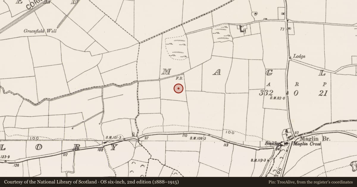 Ordnance Survey six-inch map, 2nd edition (1888–1915) covering the location of Fulacht fia, Maglin, County Cork, with a pin at the register's coordinates