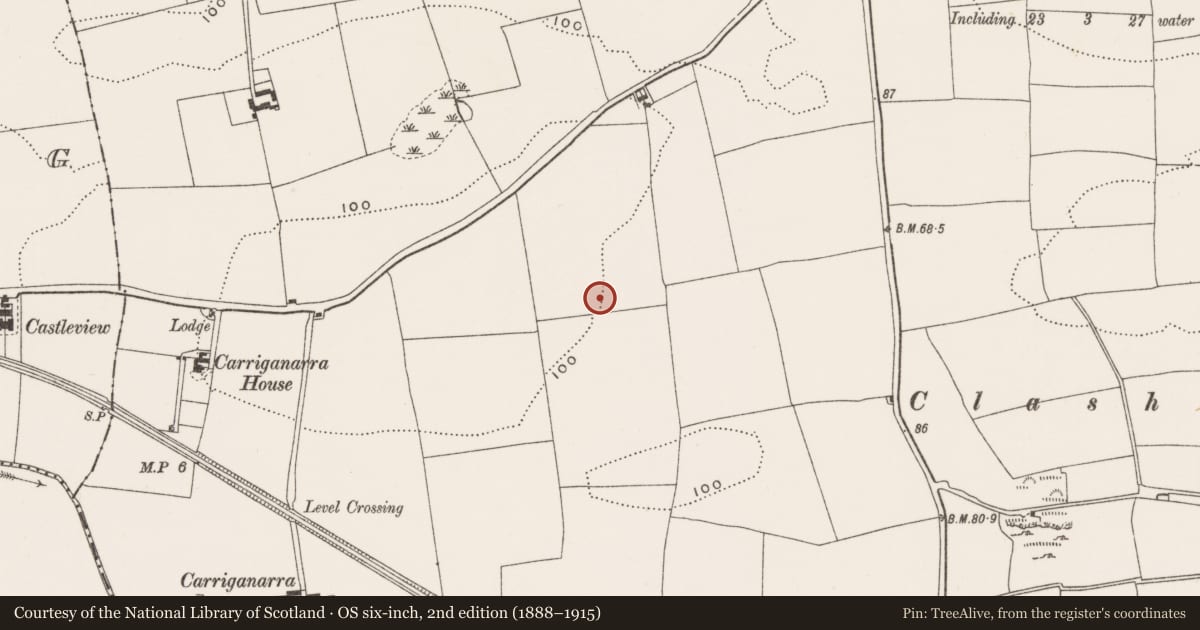 Ordnance Survey six-inch map, 2nd edition (1888–1915) covering the location of Excavation - miscellaneous, Carrigrohane, County Cork, with a pin at the register's coordinates