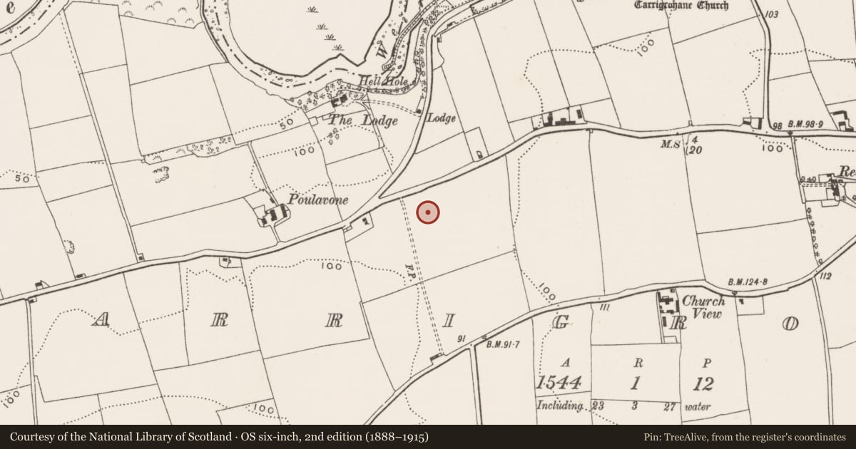 Ordnance Survey six-inch map, 2nd edition (1888–1915) covering the location of Excavation - miscellaneous, Carrigrohane, County Cork, with a pin at the register's coordinates