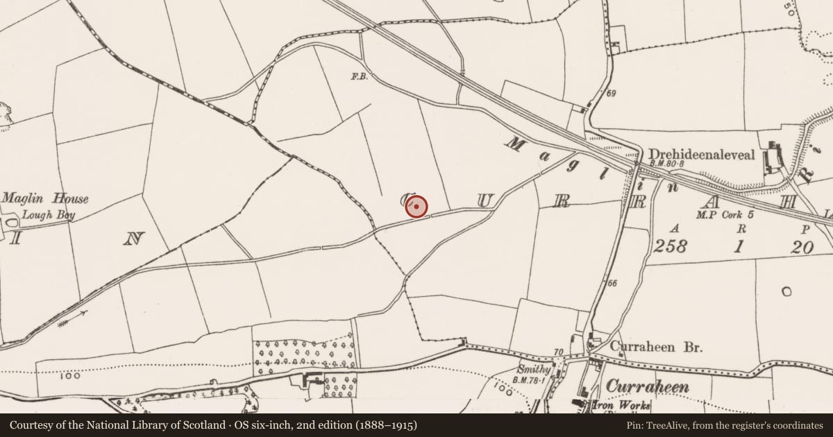Ordnance Survey six-inch map, 2nd edition (1888–1915) covering the location of Fulacht fia, Curraheen (Cork By., Inishkenny Par.), County Cork, with a pin at the register's coordinates