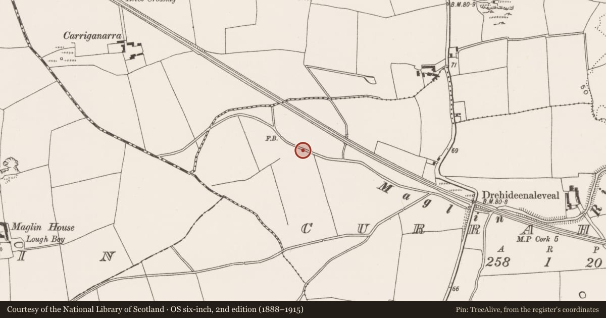 Ordnance Survey six-inch map, 2nd edition (1888–1915) covering the location of Fulacht fia, Curraheen (Cork By., Inishkenny Par.), County Cork, with a pin at the register's coordinates