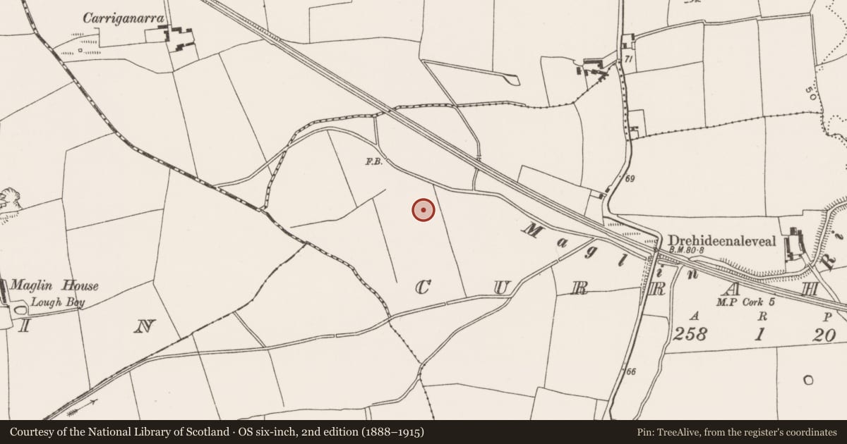 Ordnance Survey six-inch map, 2nd edition (1888–1915) covering the location of Fulacht fia, Curraheen (Cork By., Inishkenny Par.), County Cork, with a pin at the register's coordinates