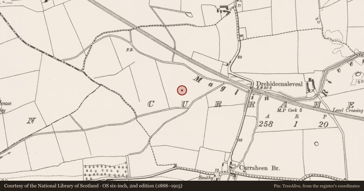 Ordnance Survey six-inch map, 2nd edition (1888–1915) covering the location of Burnt mound, Curraheen (Cork By., Inishkenny Par.), County Cork, with a pin at the register's coordinates