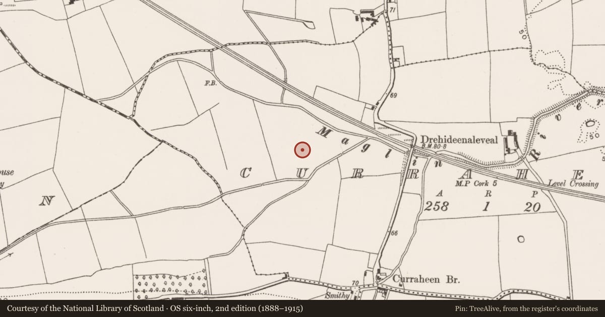 Ordnance Survey six-inch map, 2nd edition (1888–1915) covering the location of Excavation - miscellaneous, Curraheen (Cork By., Inishkenny Par.), County Cork, with a pin at the register's coordinates