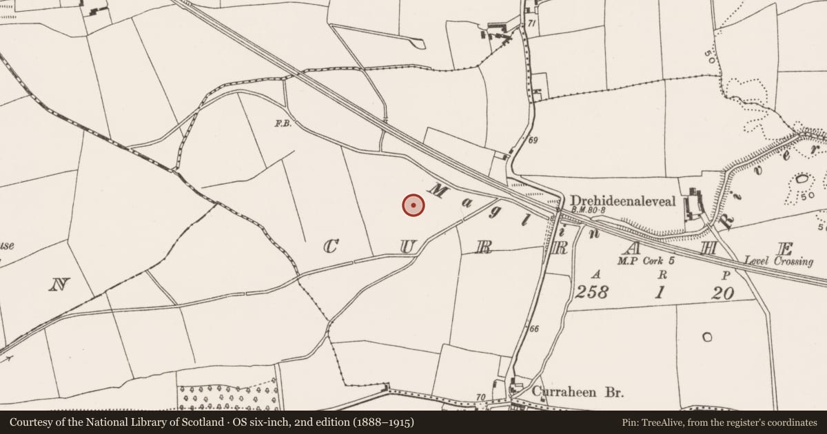Ordnance Survey six-inch map, 2nd edition (1888–1915) covering the location of Fulacht fia, Curraheen (Cork By., Inishkenny Par.), County Cork, with a pin at the register's coordinates