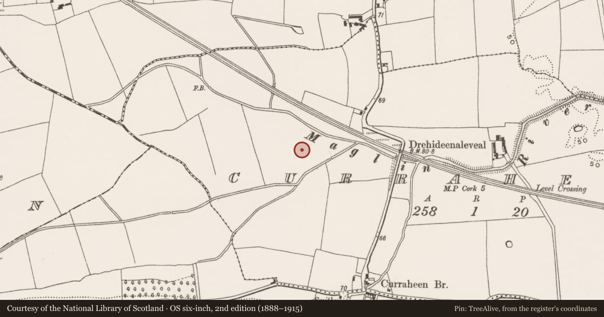 Ordnance Survey six-inch map, 2nd edition (1888–1915) covering the location of Burnt mound, Curraheen (Cork By., Inishkenny Par.), County Cork, with a pin at the register's coordinates