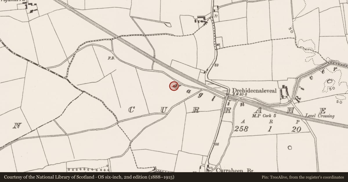 Ordnance Survey six-inch map, 2nd edition (1888–1915) covering the location of Fulacht fia, Curraheen (Cork By., Inishkenny Par.), County Cork, with a pin at the register's coordinates