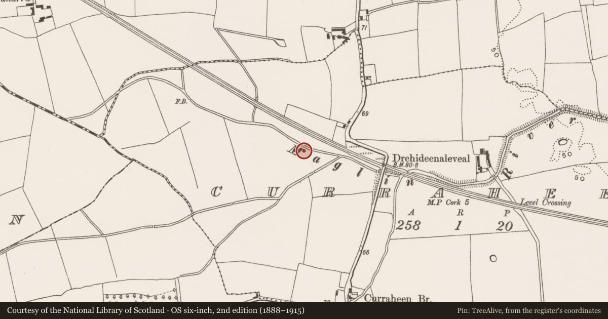 Ordnance Survey six-inch map, 2nd edition (1888–1915) covering the location of Fulacht fia, Curraheen (Cork By., Inishkenny Par.), County Cork, with a pin at the register's coordinates