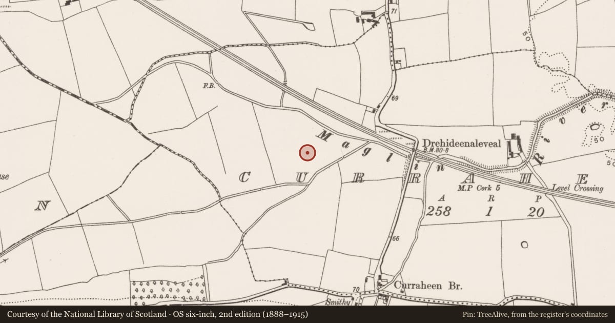 Ordnance Survey six-inch map, 2nd edition (1888–1915) covering the location of Fulacht fia, Curraheen (Cork By., Inishkenny Par.), County Cork, with a pin at the register's coordinates