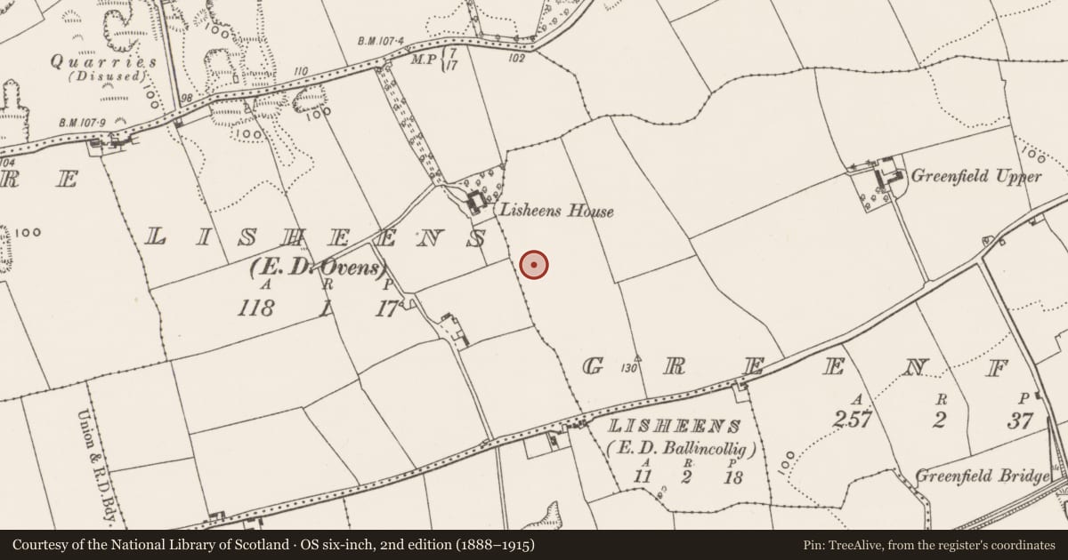 Ordnance Survey six-inch map, 2nd edition (1888–1915) covering the location of Excavation - miscellaneous, Greenfield, County Cork, with a pin at the register's coordinates