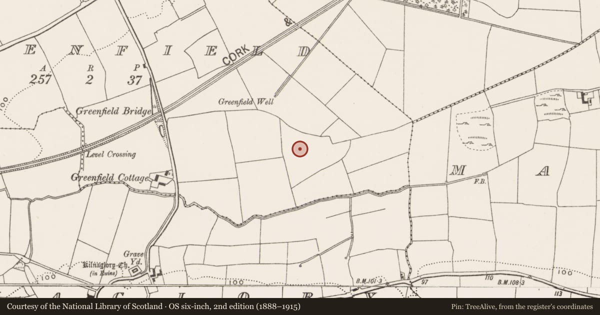 Ordnance Survey six-inch map, 2nd edition (1888–1915) covering the location of Pit-burial, Greenfield, County Cork, with a pin at the register's coordinates