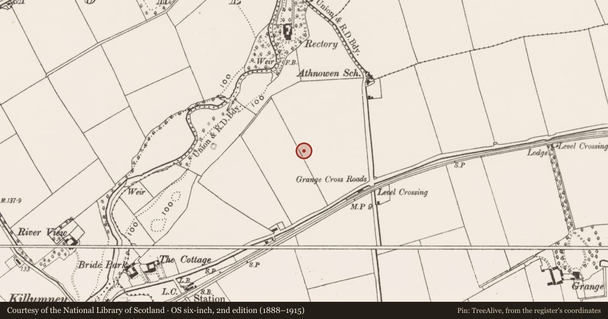Ordnance Survey six-inch map, 2nd edition (1888–1915) covering the location of Excavation - miscellaneous, Grange, County Cork, with a pin at the register's coordinates