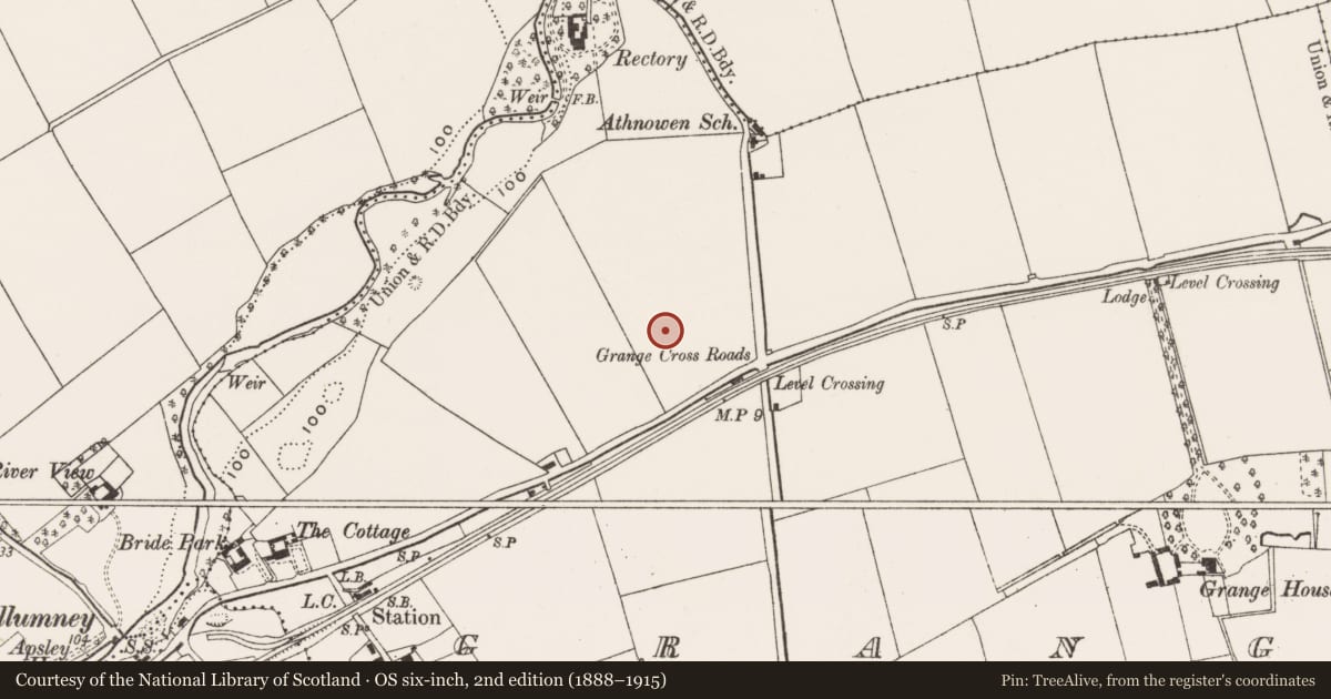 Ordnance Survey six-inch map, 2nd edition (1888–1915) covering the location of Burnt pit, Grange, County Cork, with a pin at the register's coordinates
