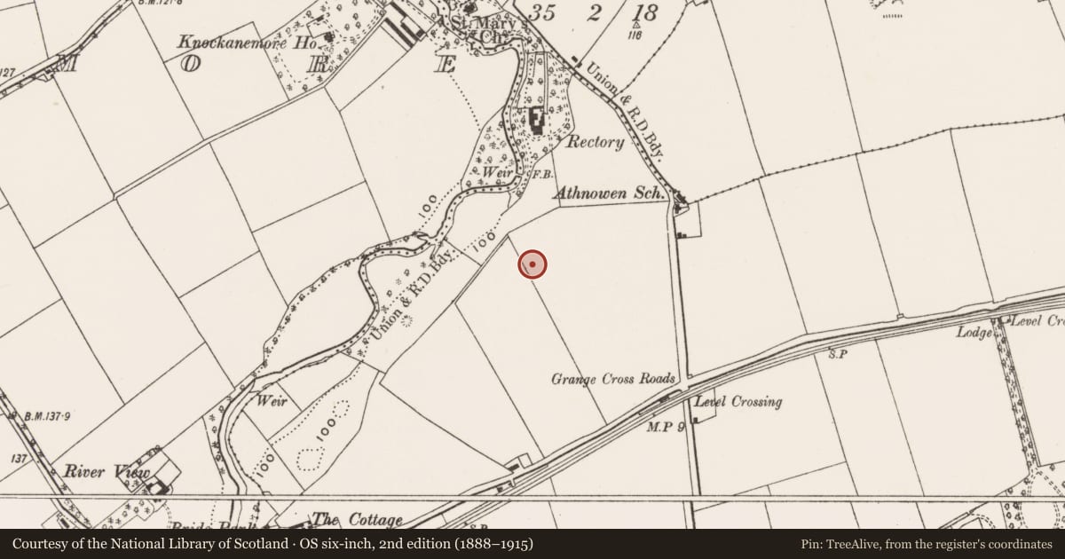 Ordnance Survey six-inch map, 2nd edition (1888–1915) covering the location of Burnt pit, Grange, County Cork, with a pin at the register's coordinates