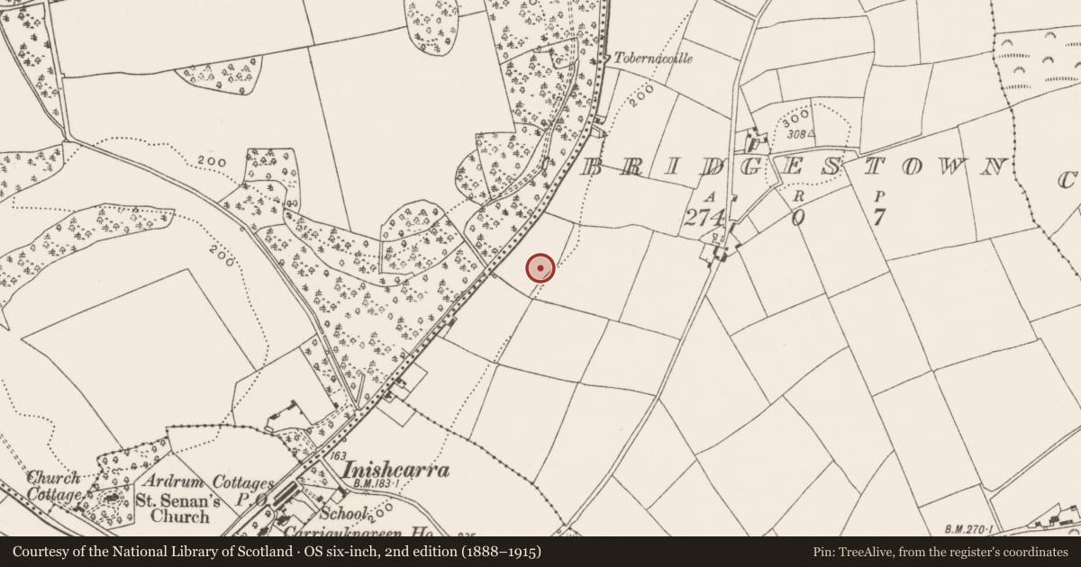 Ordnance Survey six-inch map, 2nd edition (1888–1915) covering the location of Fulacht fia, Bridgestown, County Cork, with a pin at the register's coordinates