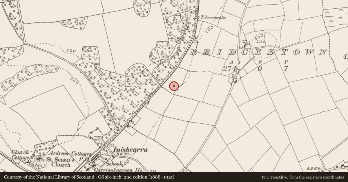 Ordnance Survey six-inch map, 2nd edition (1888–1915) covering the location of Fulacht fia, Bridgestown, County Cork, with a pin at the register's coordinates
