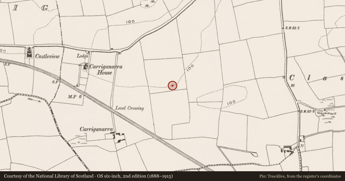 Ordnance Survey six-inch map, 2nd edition (1888–1915) covering the location of Enclosure, Carrigrohane, County Cork, with a pin at the register's coordinates