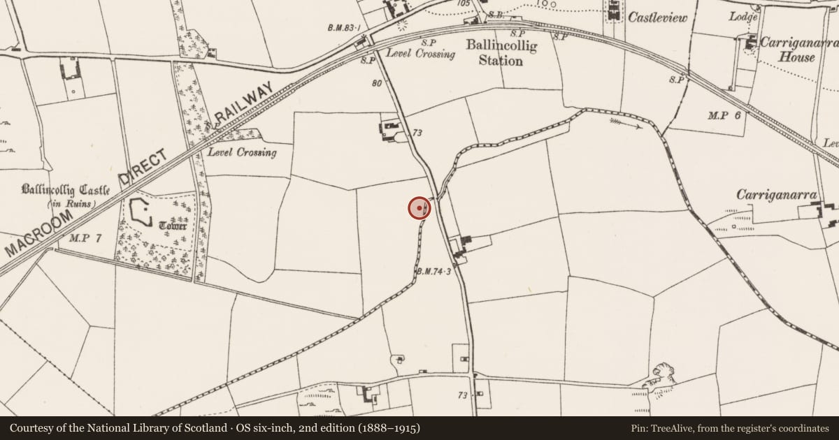 Ordnance Survey six-inch map, 2nd edition (1888–1915) covering the location of Burnt spread, Ballincollig (Muskerry East By., Carrigrohane Par.), County Cork, with a pin at the register's coordinates