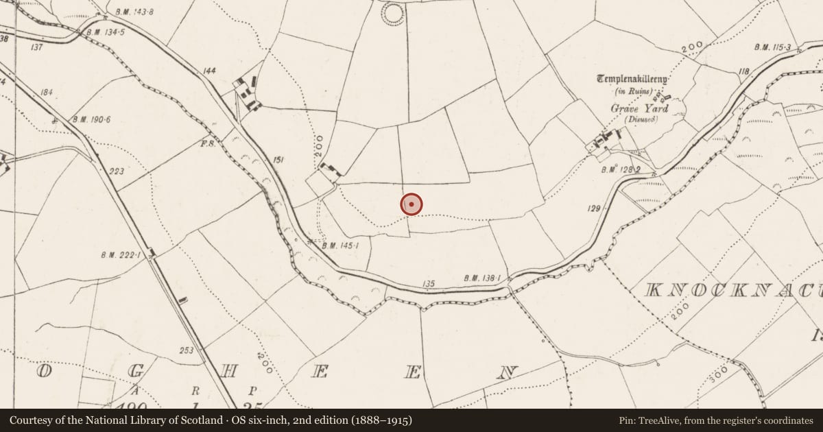 Ordnance Survey six-inch map, 2nd edition (1888–1915) covering the location of Standing stone, Killeens, County Cork, with a pin at the register's coordinates