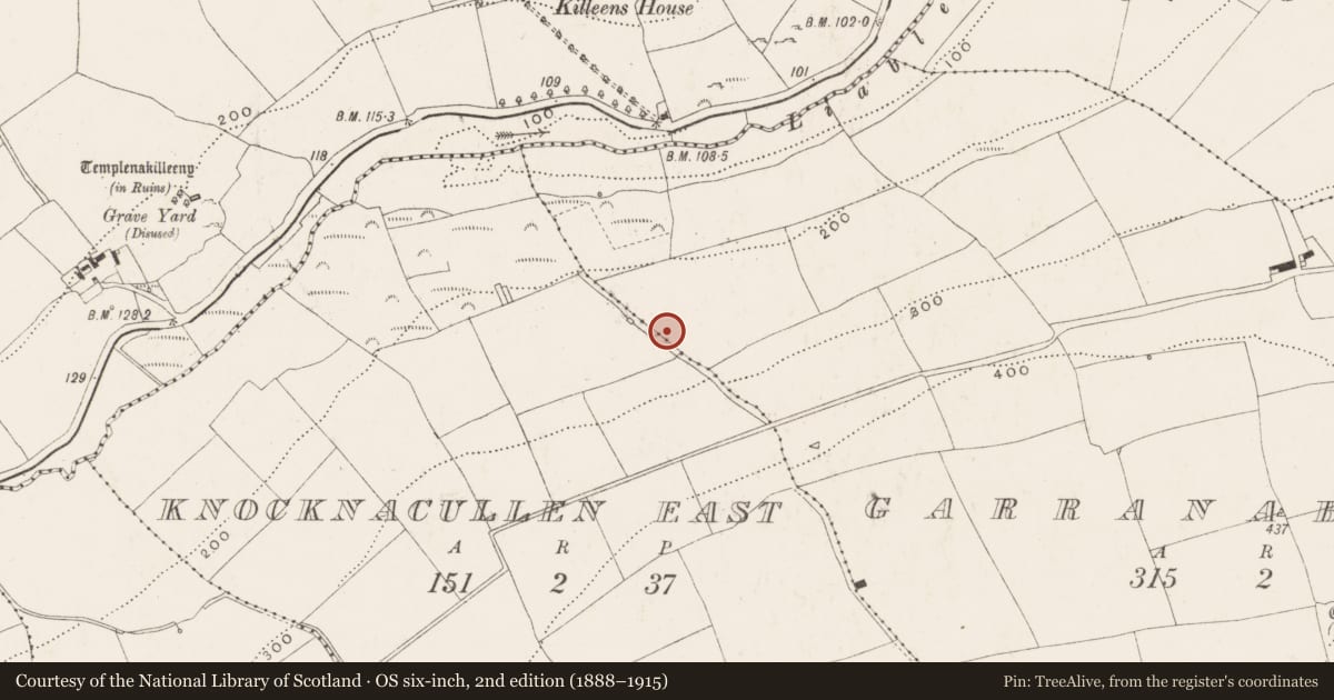 Ordnance Survey six-inch map, 2nd edition (1888–1915) covering the location of Standing stone, Garranabraher, County Cork, with a pin at the register's coordinates