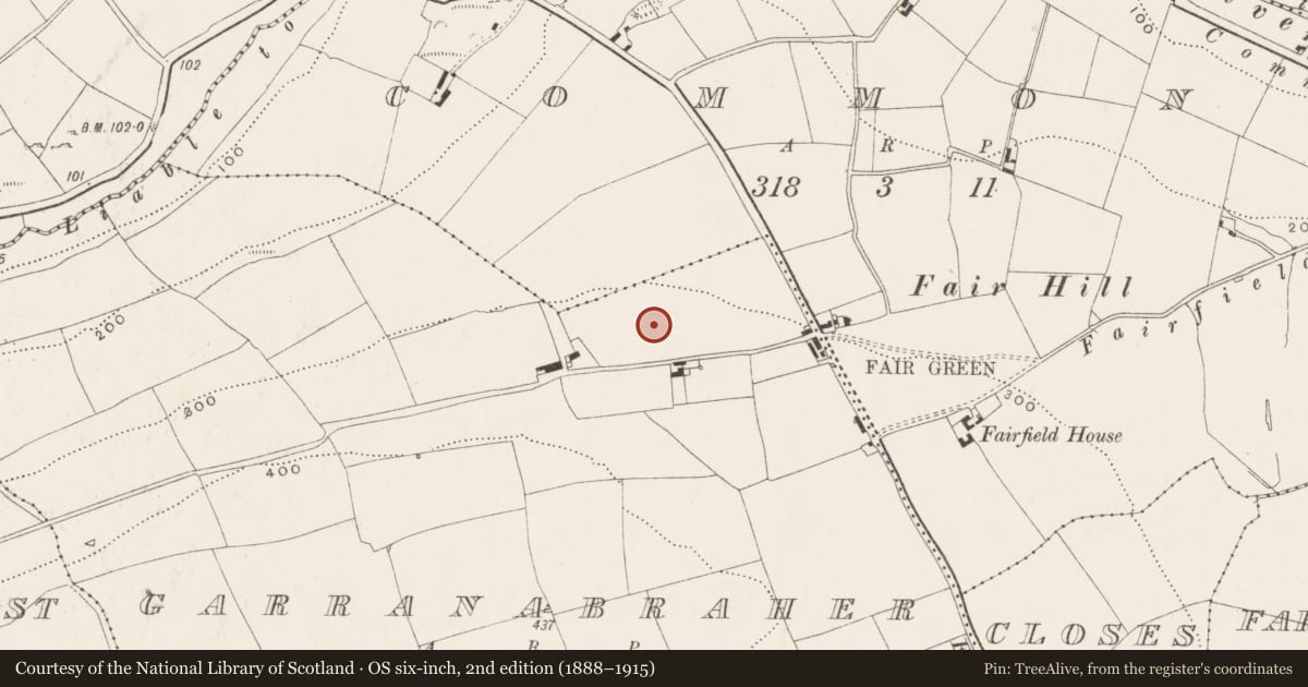 Ordnance Survey six-inch map, 2nd edition (1888–1915) covering the location of Standing stone, Garranabraher, County Cork, with a pin at the register's coordinates