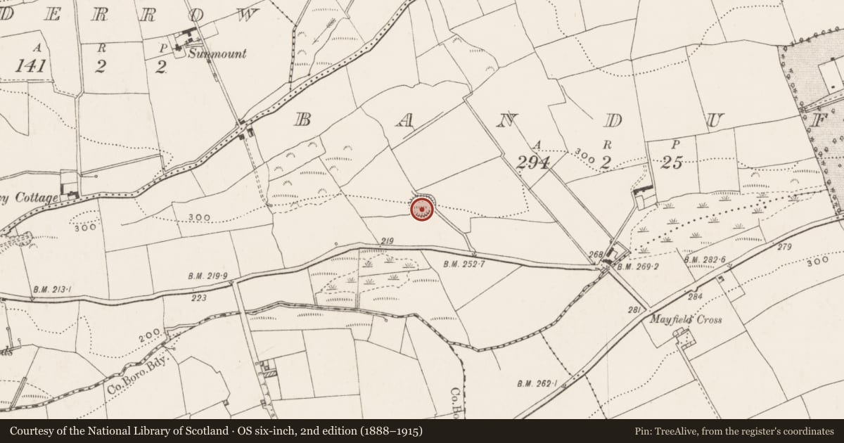 Ordnance Survey six-inch map, 2nd edition (1888–1915) covering the location of Ringfort - rath, Banduff, County Cork, with a pin at the register's coordinates
