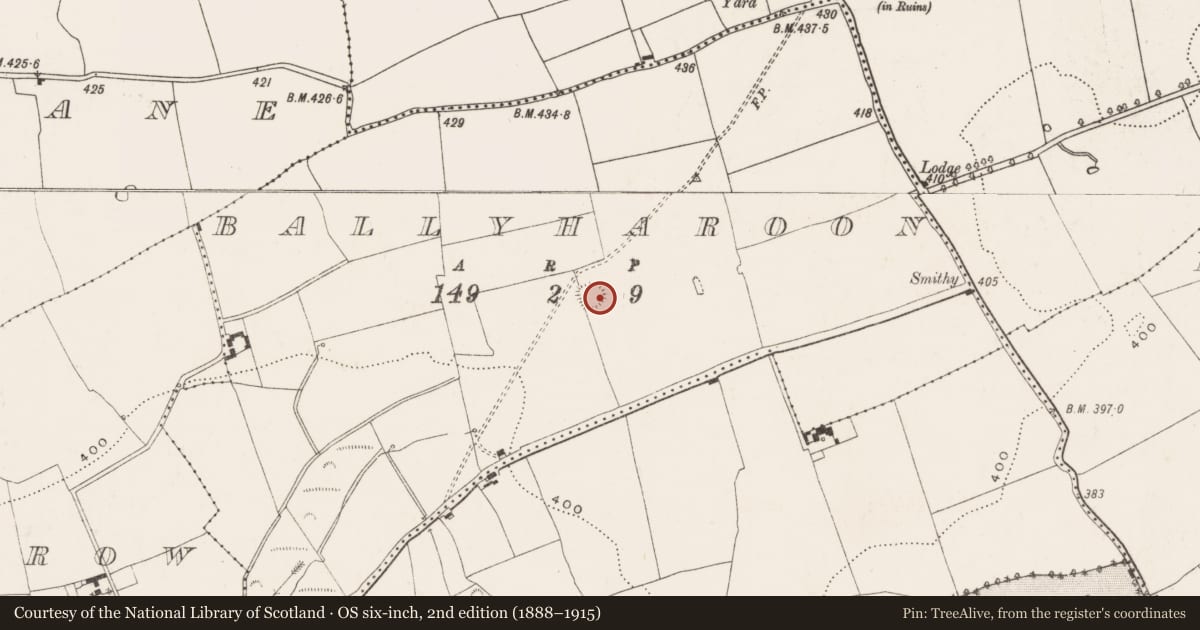 Ordnance Survey six-inch map, 2nd edition (1888–1915) covering the location of Ringfort - rath, Ballyharoon, County Cork, with a pin at the register's coordinates