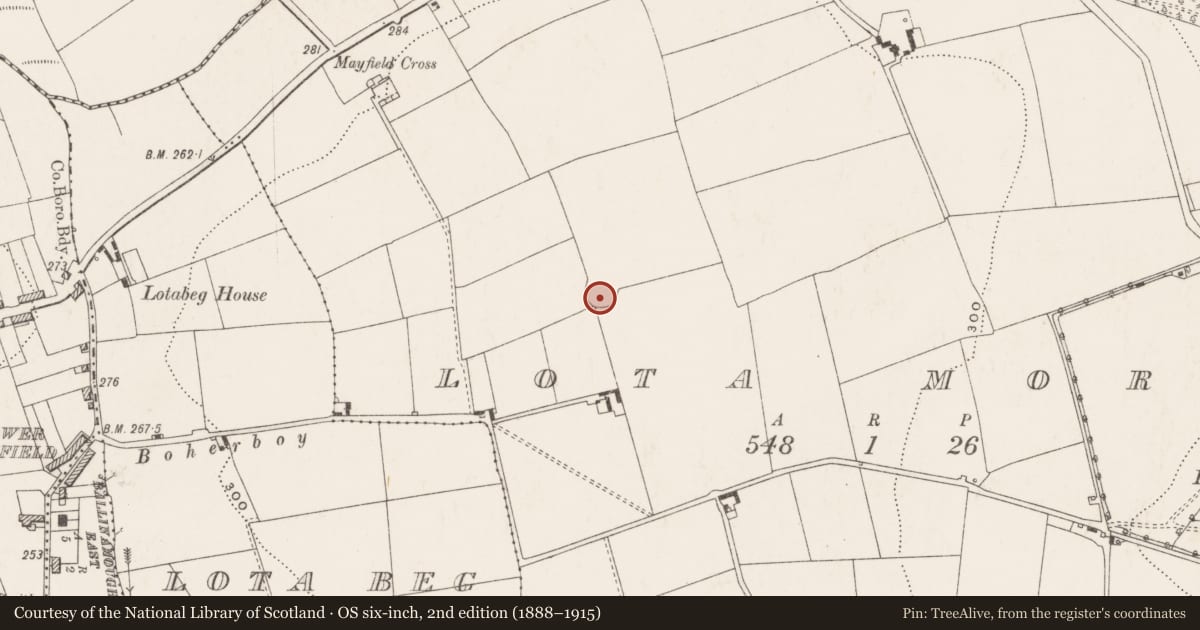 Ordnance Survey six-inch map, 2nd edition (1888–1915) covering the location of Ringfort - rath, Lotamore, County Cork, with a pin at the register's coordinates