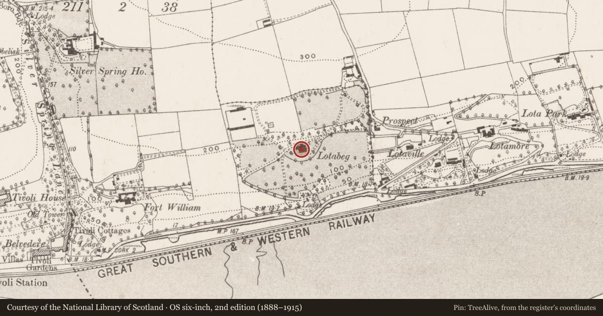 Ordnance Survey six-inch map, 2nd edition (1888–1915) covering the location of Country house, Lotabeg, County Cork, with a pin at the register's coordinates