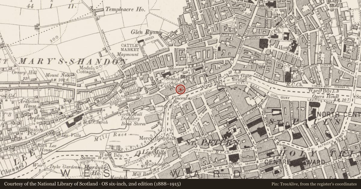 Ordnance Survey six-inch map, 2nd edition (1888–1915) covering the location of Religious house - Franciscan friars, Cork City, County Cork, with a pin at the register's coordinates