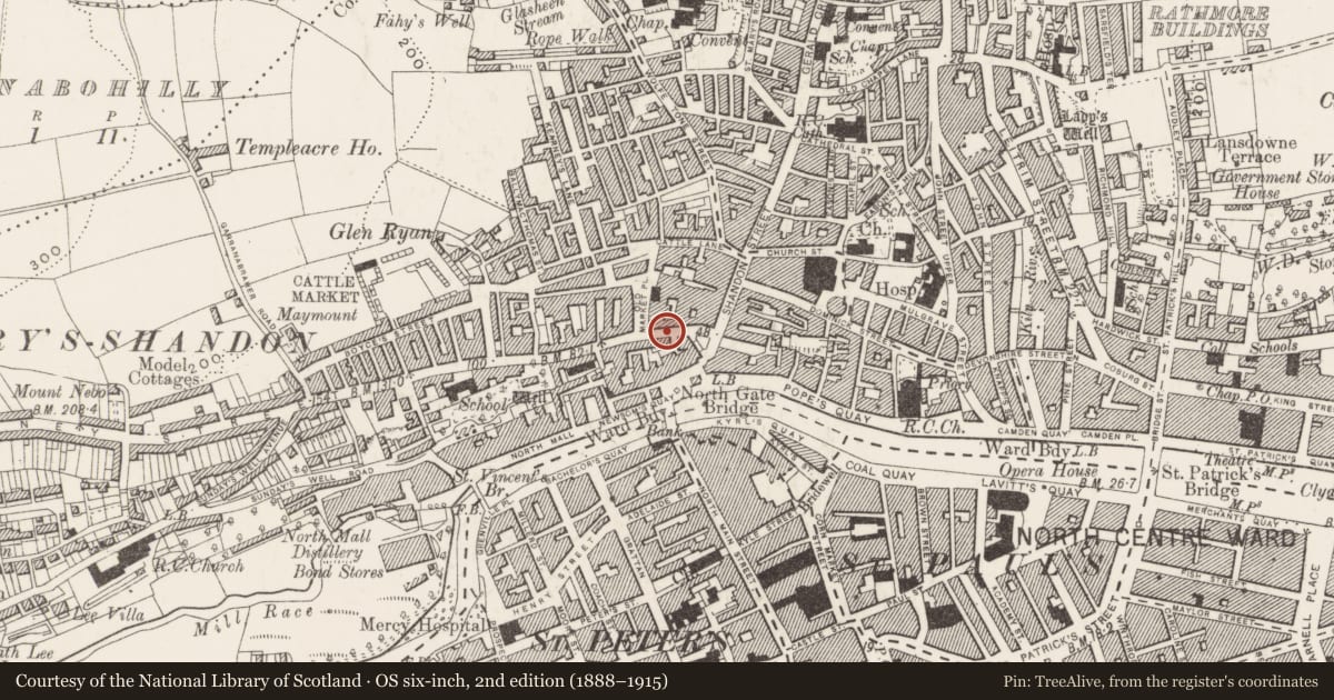 Ordnance Survey six-inch map, 2nd edition (1888–1915) covering the location of Castle - unclassified, Cork City, County Cork, with a pin at the register's coordinates