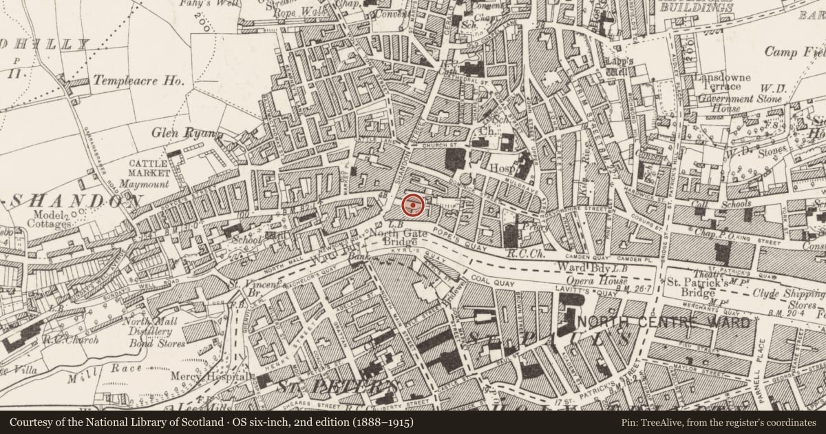 Ordnance Survey six-inch map, 2nd edition (1888–1915) covering the location of Graveyard, Cork City, County Cork, with a pin at the register's coordinates