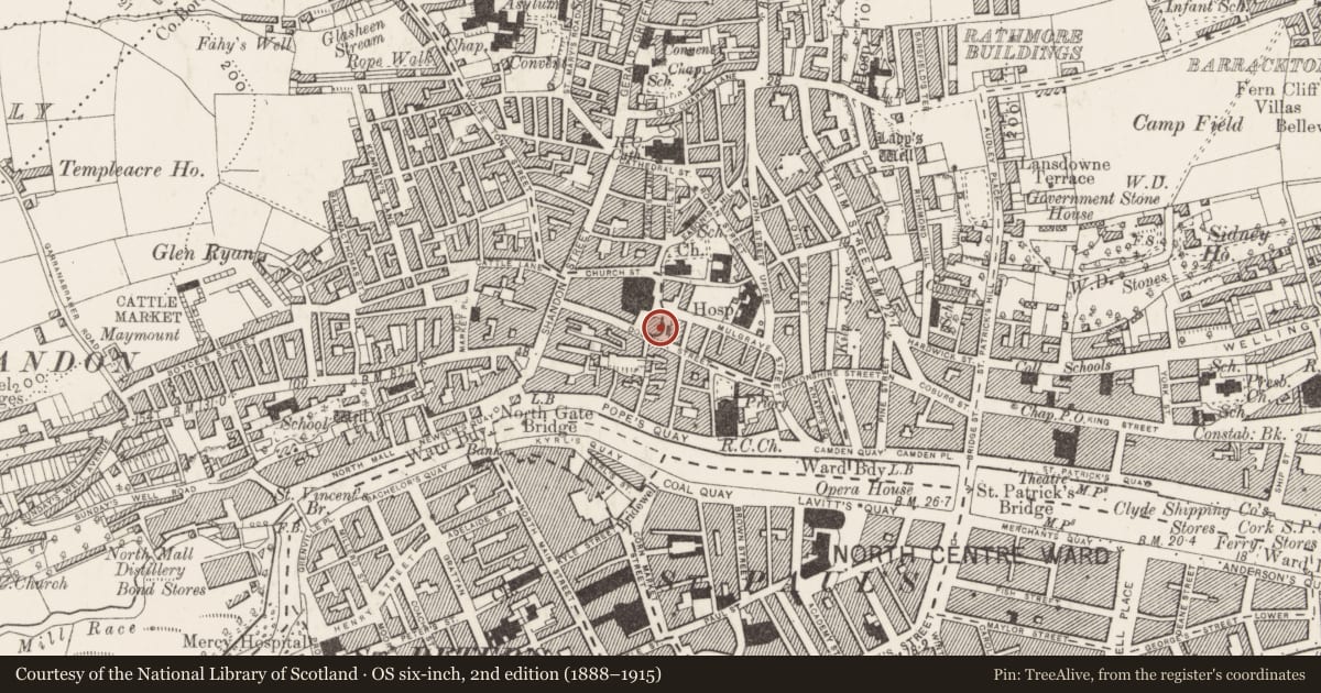 Ordnance Survey six-inch map, 2nd edition (1888–1915) covering the location of Castle - tower house, Cork City, County Cork, with a pin at the register's coordinates