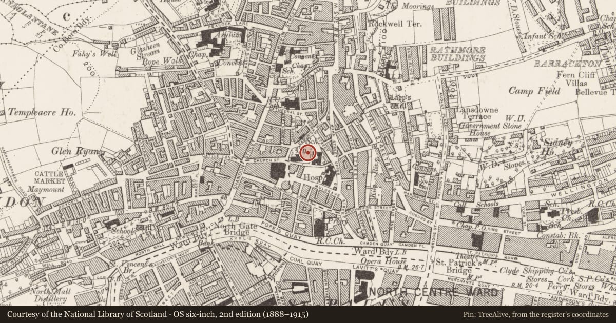 Ordnance Survey six-inch map, 2nd edition (1888–1915) covering the location of Graveyard, Cork City, County Cork, with a pin at the register's coordinates