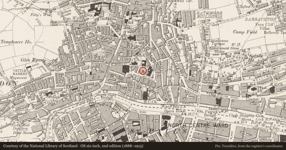 Ordnance Survey six-inch map, 2nd edition (1888–1915) covering the location of Graveyard, Cork City, County Cork, with a pin at the register's coordinates