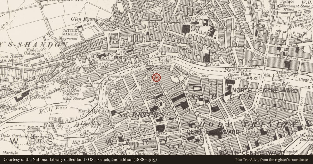 Ordnance Survey six-inch map, 2nd edition (1888–1915) covering the location of Castle - tower house, Cork City, County Cork, with a pin at the register's coordinates