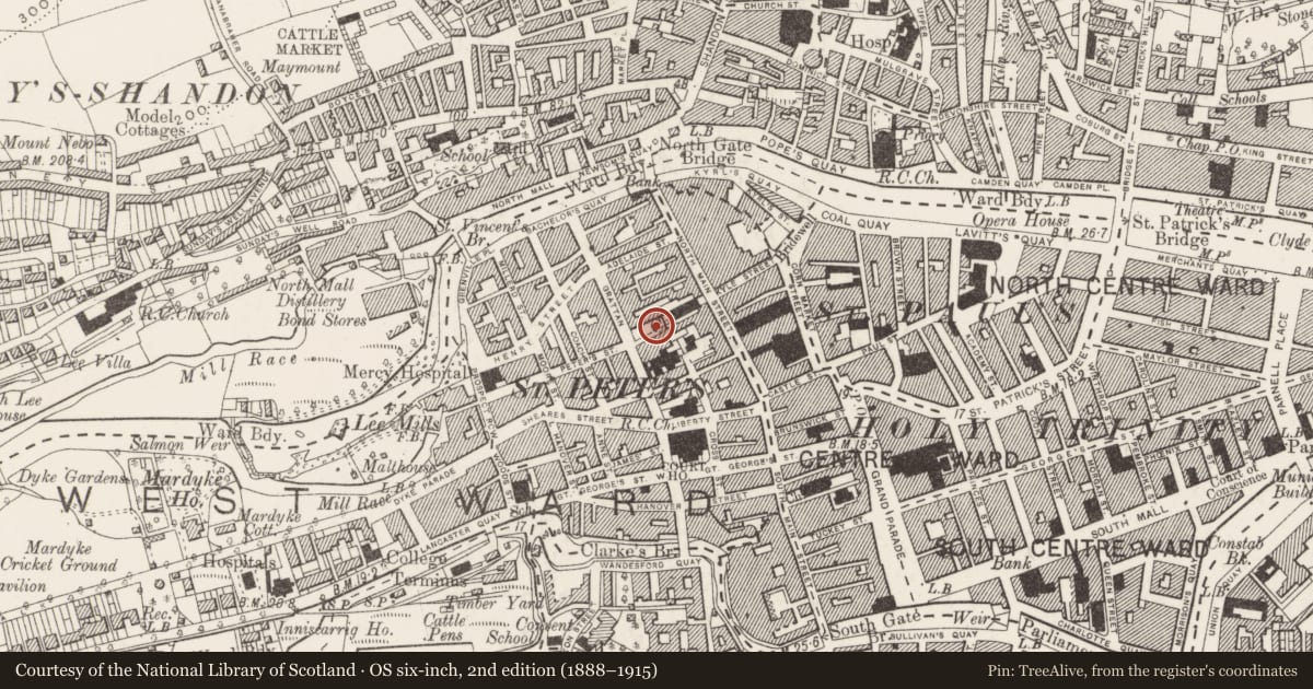 Ordnance Survey six-inch map, 2nd edition (1888–1915) covering the location of Graveyard, Cork City, County Cork, with a pin at the register's coordinates