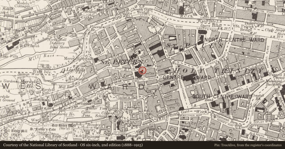 Ordnance Survey six-inch map, 2nd edition (1888–1915) covering the location of Mill - unclassified, Cork City, County Cork, with a pin at the register's coordinates