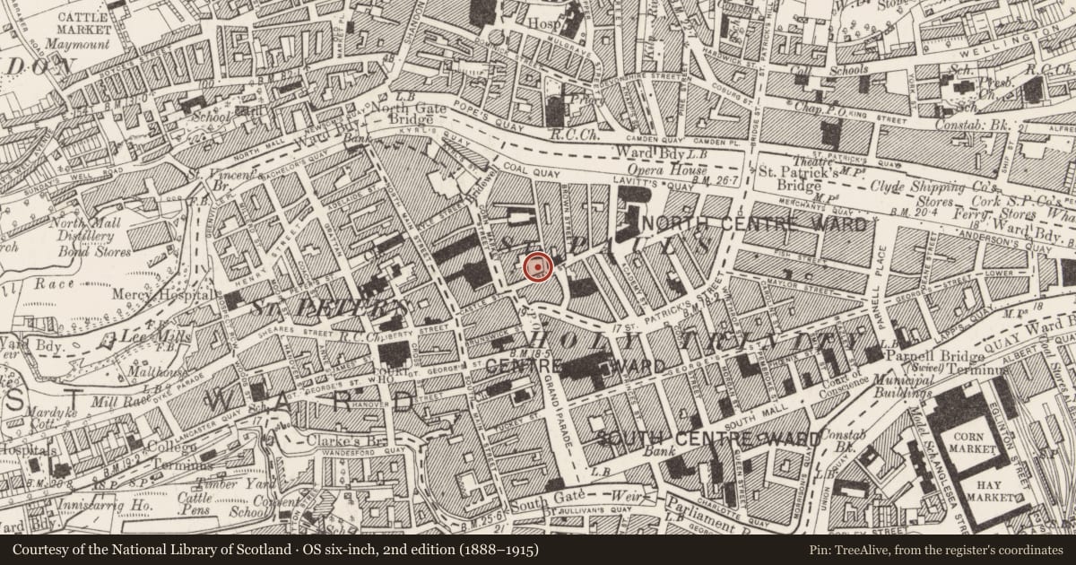 Ordnance Survey six-inch map, 2nd edition (1888–1915) covering the location of Graveyard, Cork City, County Cork, with a pin at the register's coordinates