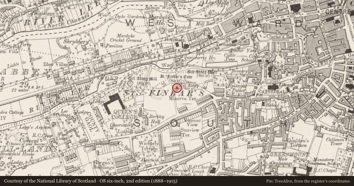 Ordnance Survey six-inch map, 2nd edition (1888–1915) covering the location of Religious house - Augustinian canons, Cork City, County Cork, with a pin at the register's coordinates
