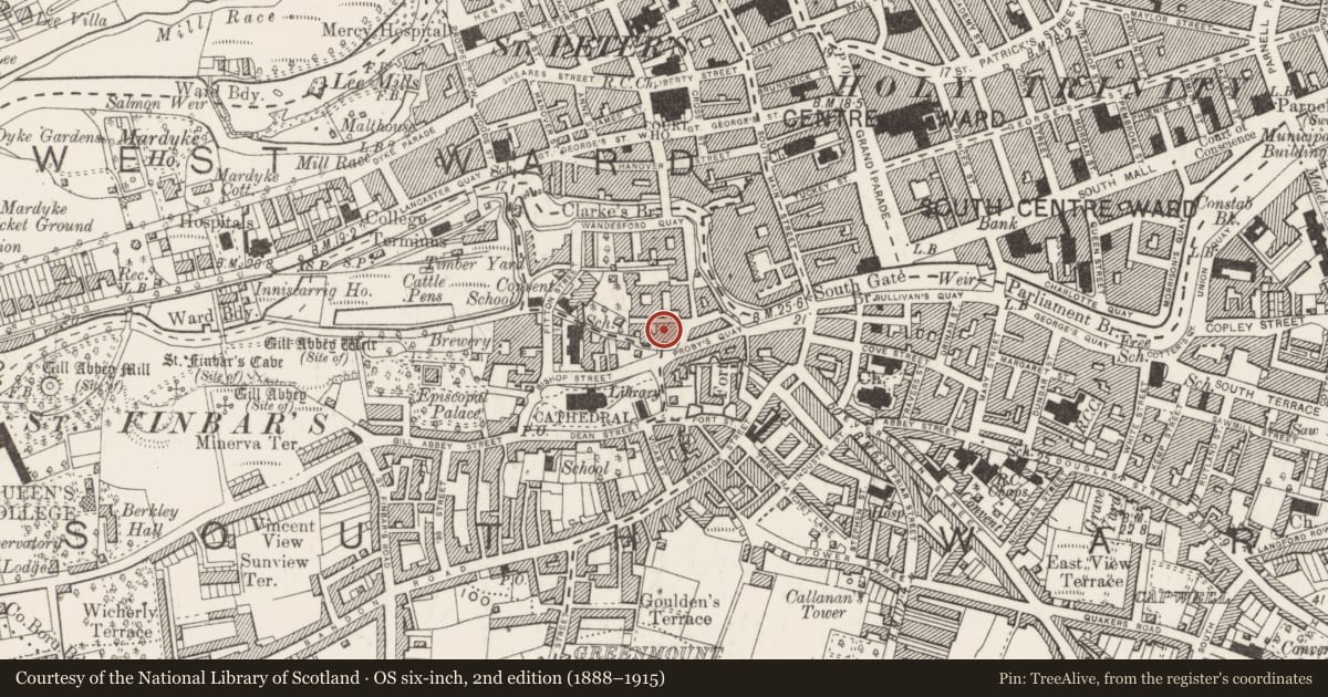 Ordnance Survey six-inch map, 2nd edition (1888–1915) covering the location of Religious house - Dominican friars, Cork City, County Cork, with a pin at the register's coordinates