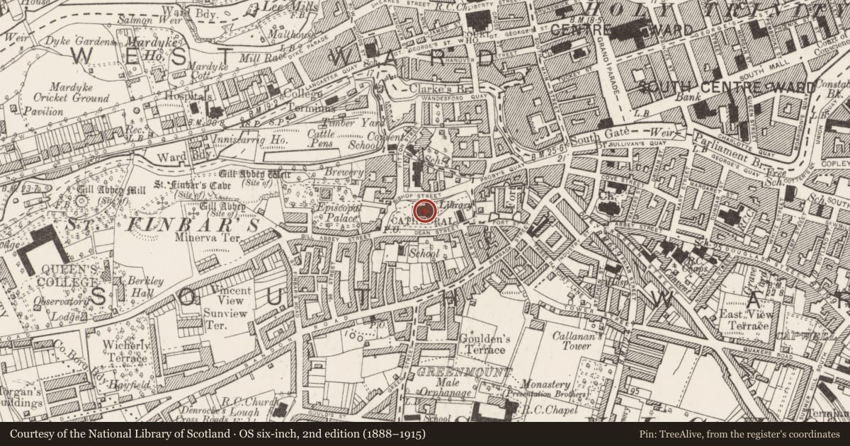 Ordnance Survey six-inch map, 2nd edition (1888–1915) covering the location of Cathedral, Cork City, County Cork, with a pin at the register's coordinates
