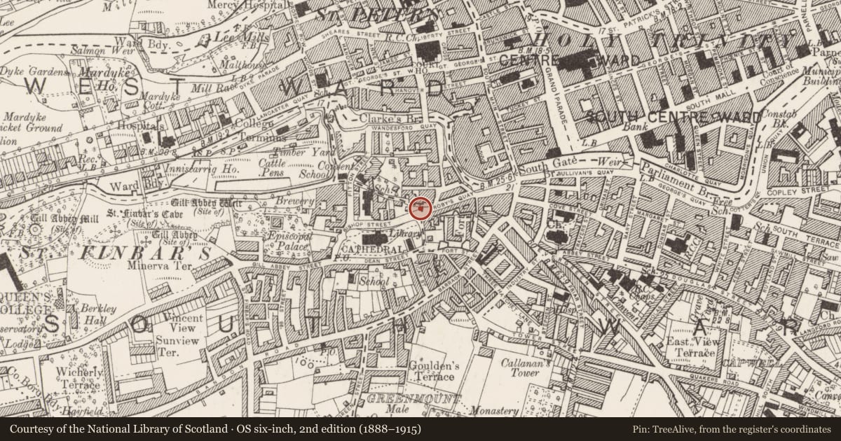 Ordnance Survey six-inch map, 2nd edition (1888–1915) covering the location of Leper hospital, Cork City, County Cork, with a pin at the register's coordinates