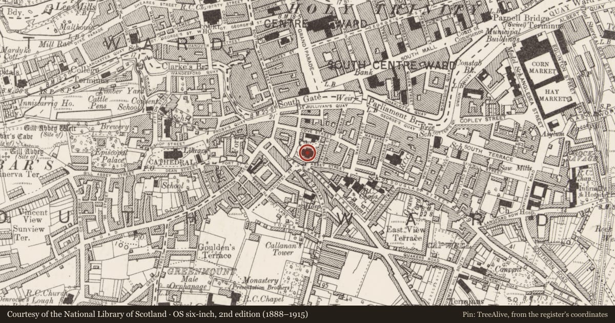 Ordnance Survey six-inch map, 2nd edition (1888–1915) covering the location of Graveyard, Cork City, County Cork, with a pin at the register's coordinates