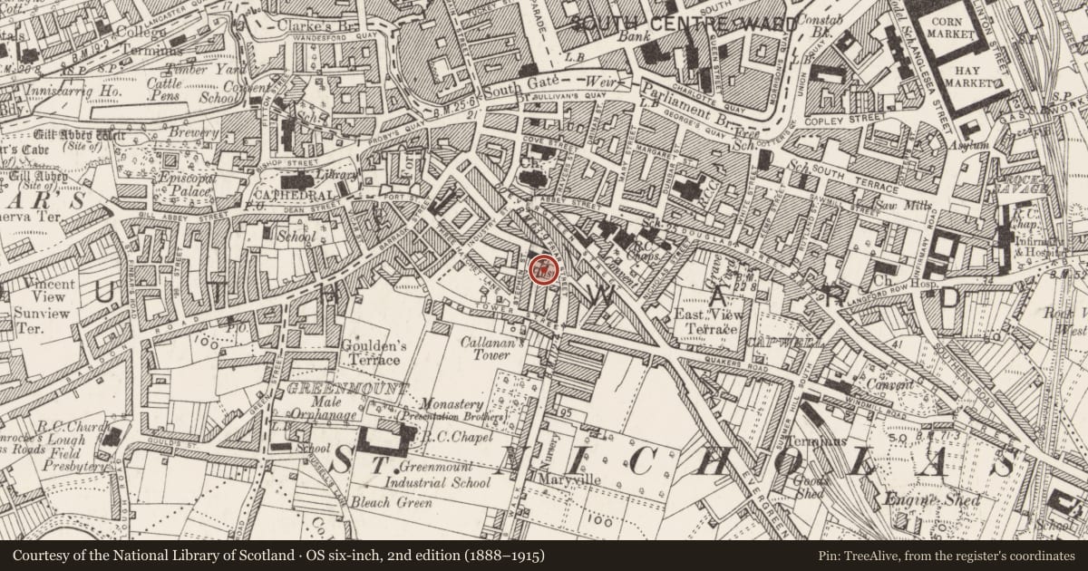 Ordnance Survey six-inch map, 2nd edition (1888–1915) covering the location of Leper hospital, Cork City, County Cork, with a pin at the register's coordinates