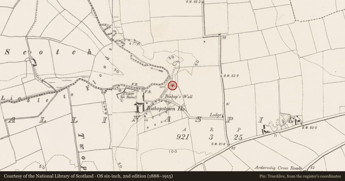 Ordnance Survey six-inch map, 2nd edition (1888–1915) covering the location of Kiln - lime, Ballinaspig Beg, County Cork, with a pin at the register's coordinates