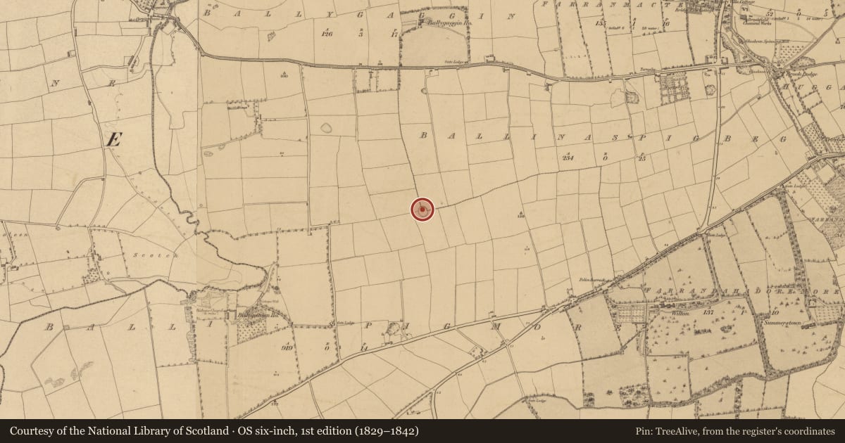 Ordnance Survey six-inch map, 1st edition (1829–1842) covering the location of Ringfort - rath, Ballinaspig More, County Cork, with a pin at the register's coordinates